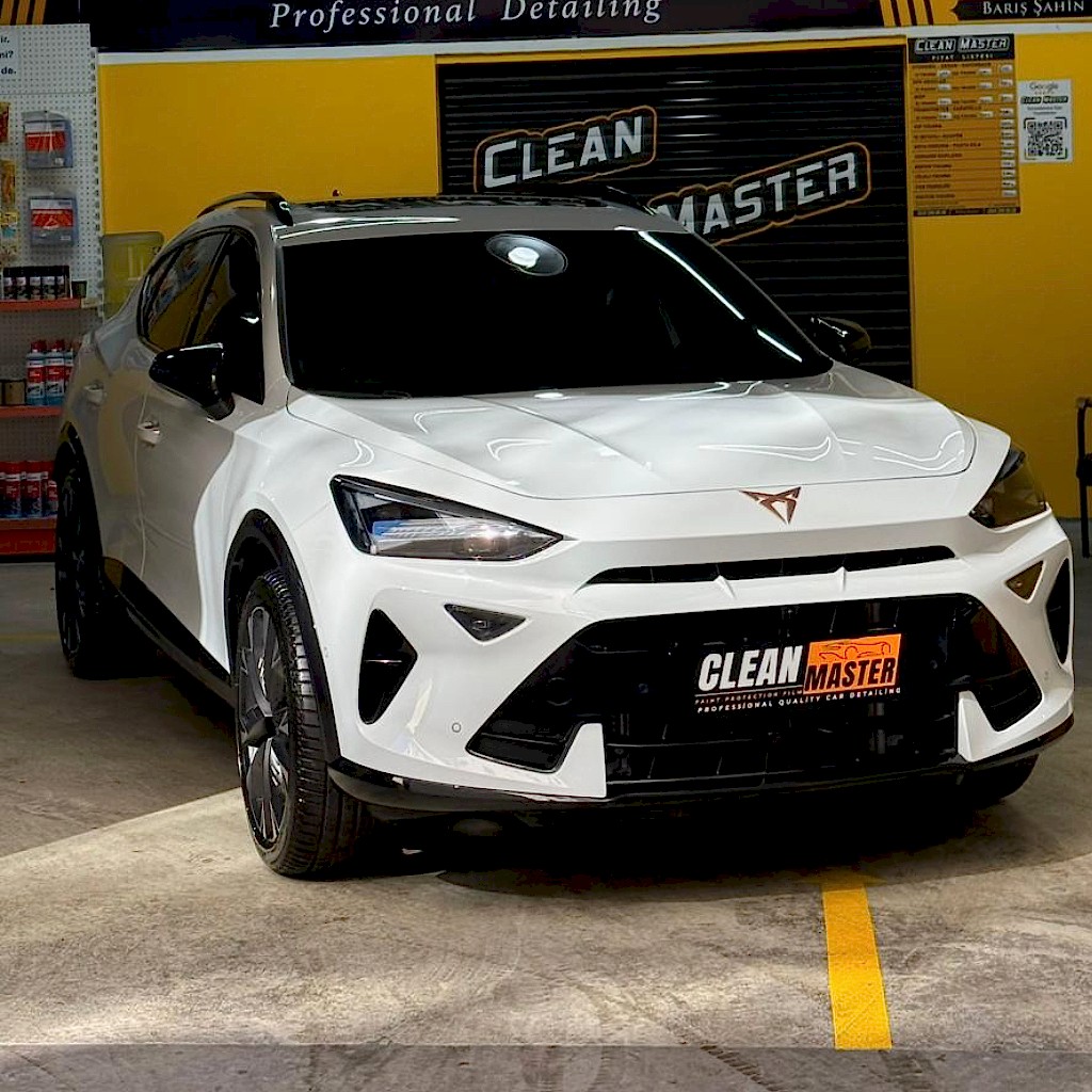 Paint Protection Film (PPF)